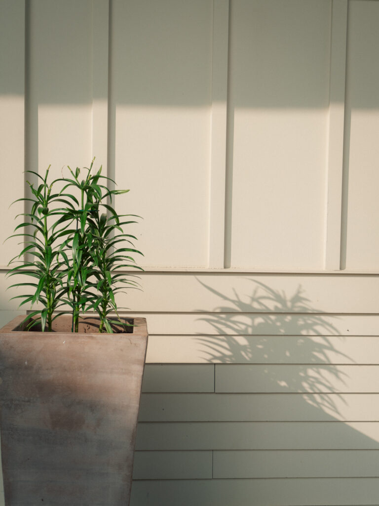 Potted green plant casting shadow on cream-colored siding in afternoon light at The Marquee wedding venue